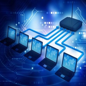 Internet Website Software Starting@15000