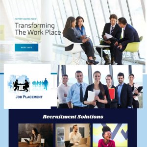 Placement Services Website Starting @ 7000.